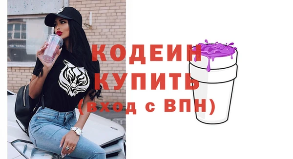 индика Кулебаки