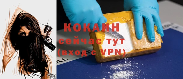 дурь Богородицк