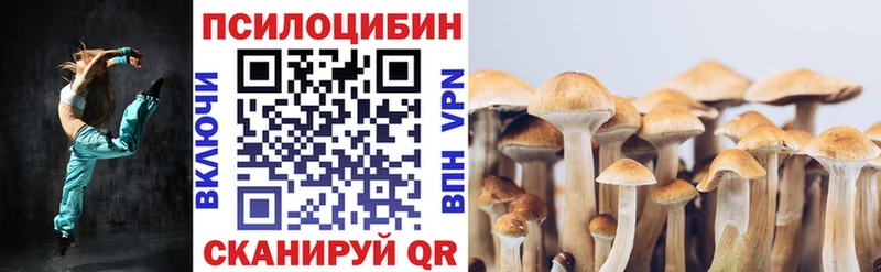 что такое наркотик  ссылка на мегу как зайти  Псилоцибиновые грибы прущие грибы  Дмитриев 